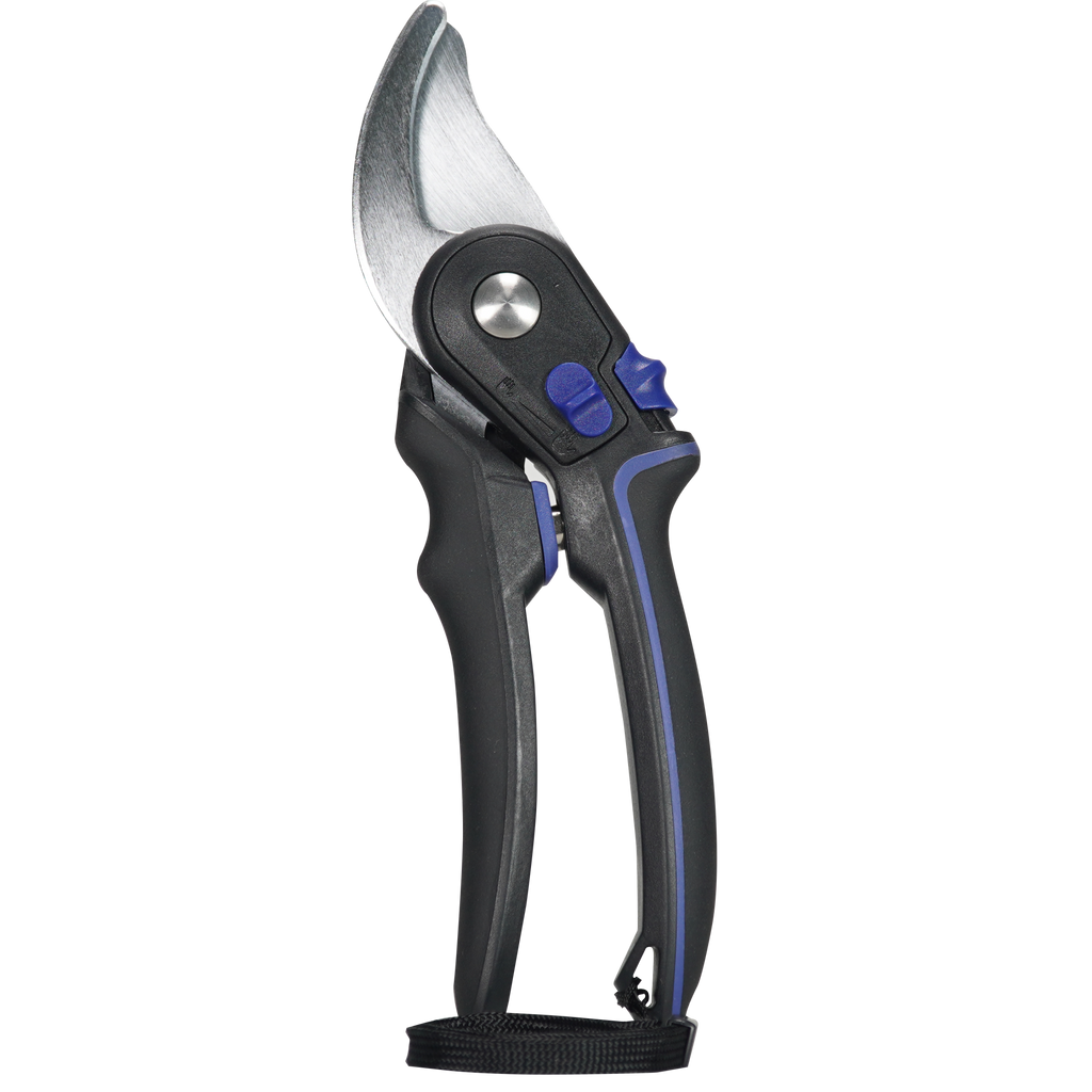 Coral Pruner