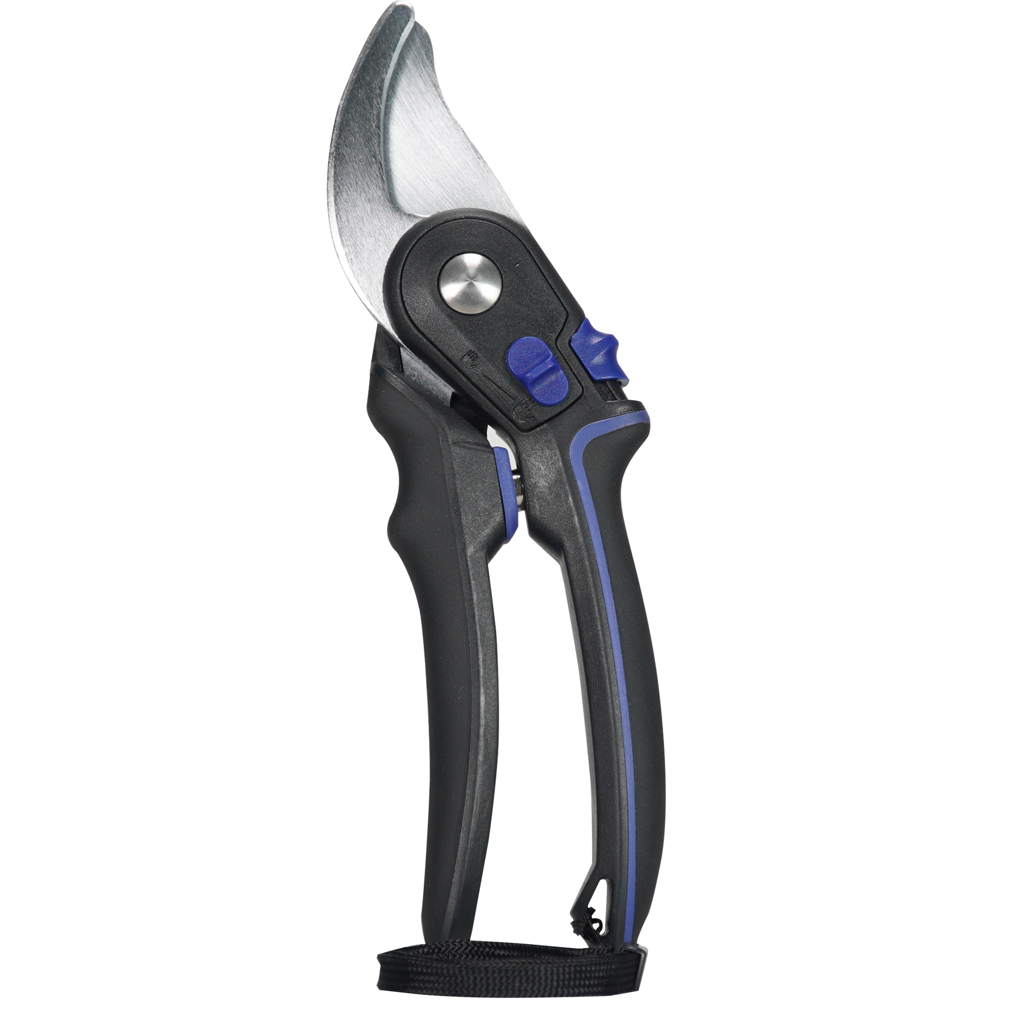 Coral Pruner