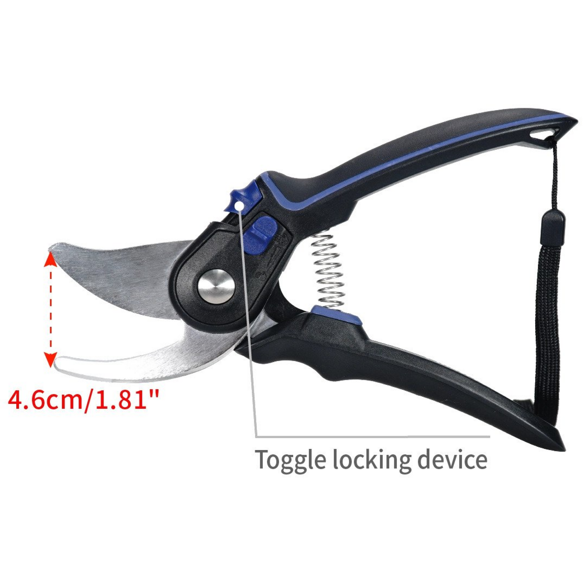 Coral Pruner