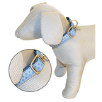 Mylord Leatherette Adjustable Dog Collar 20-30 x 1 cm, Largeight Blue