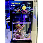 Dymax GS3 Cubey Fresh Water 22 cm
