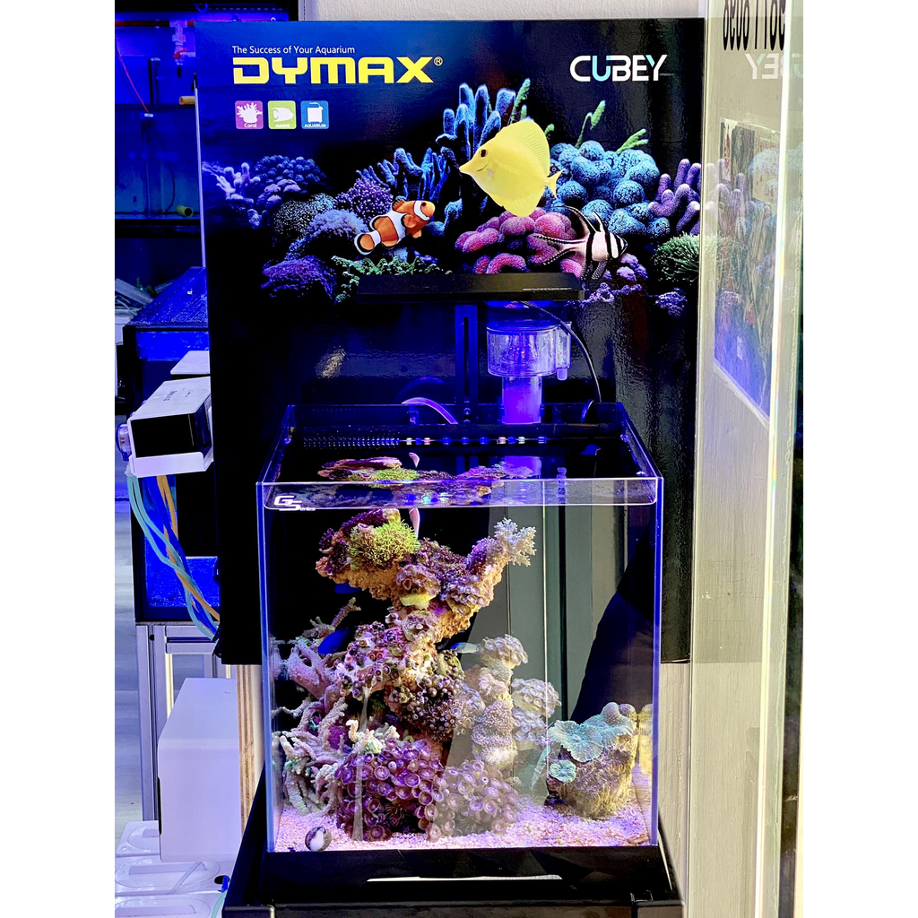 Dymax GS5 Cubey Marine 27 cm