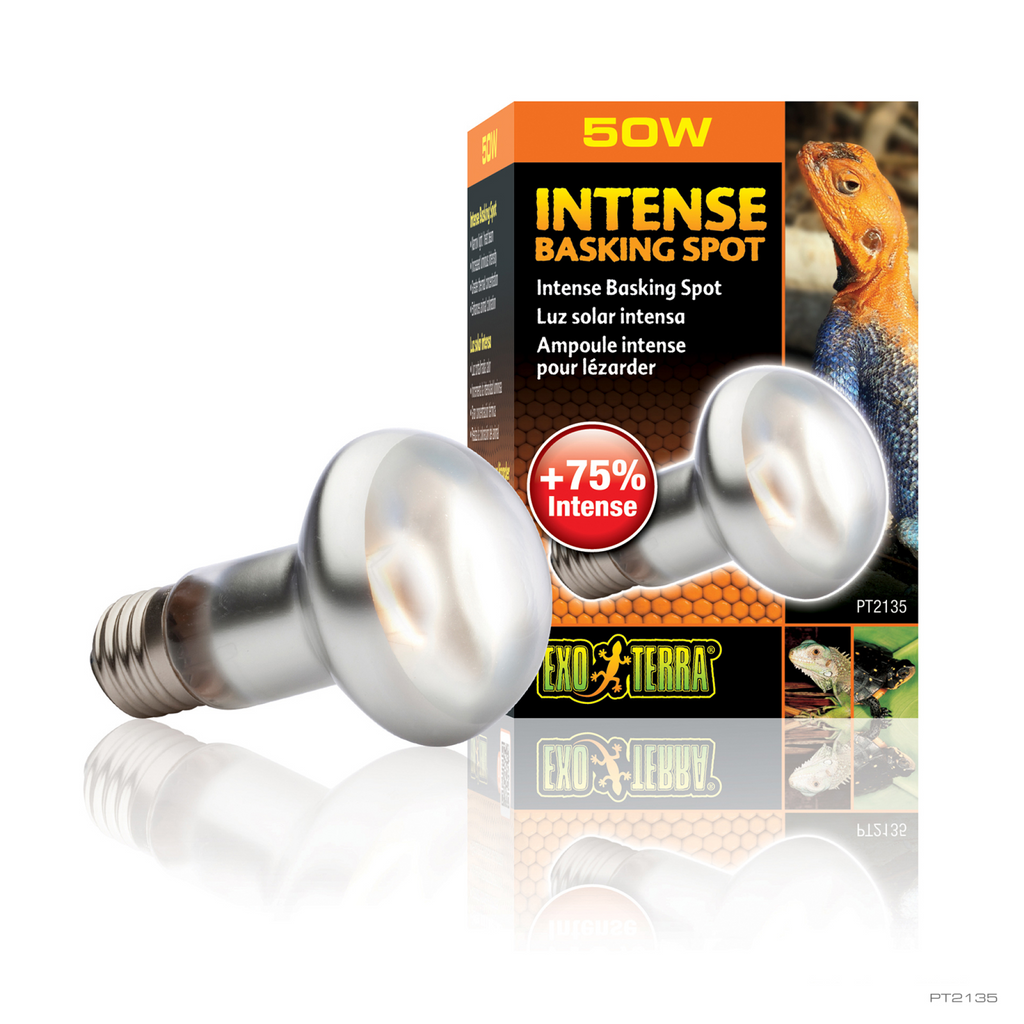 Exo Terra Intense Basking Spot 50 W