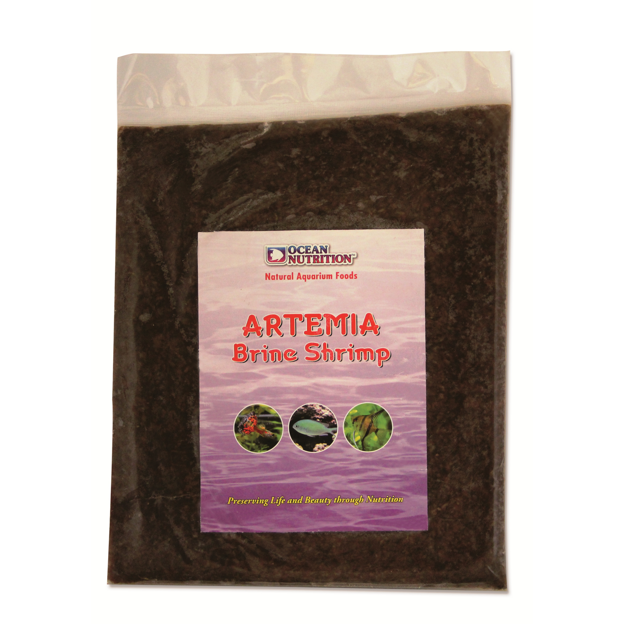 Artemia Brine Shrimp Flatpack