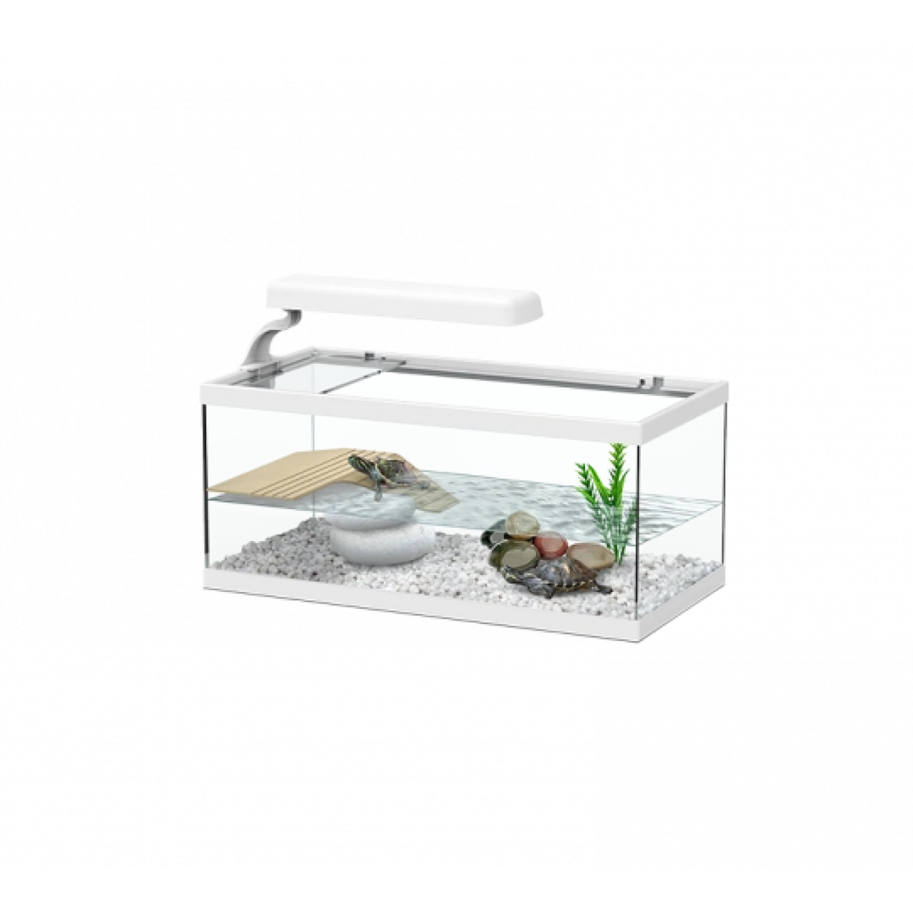Tortum Turtle Tank