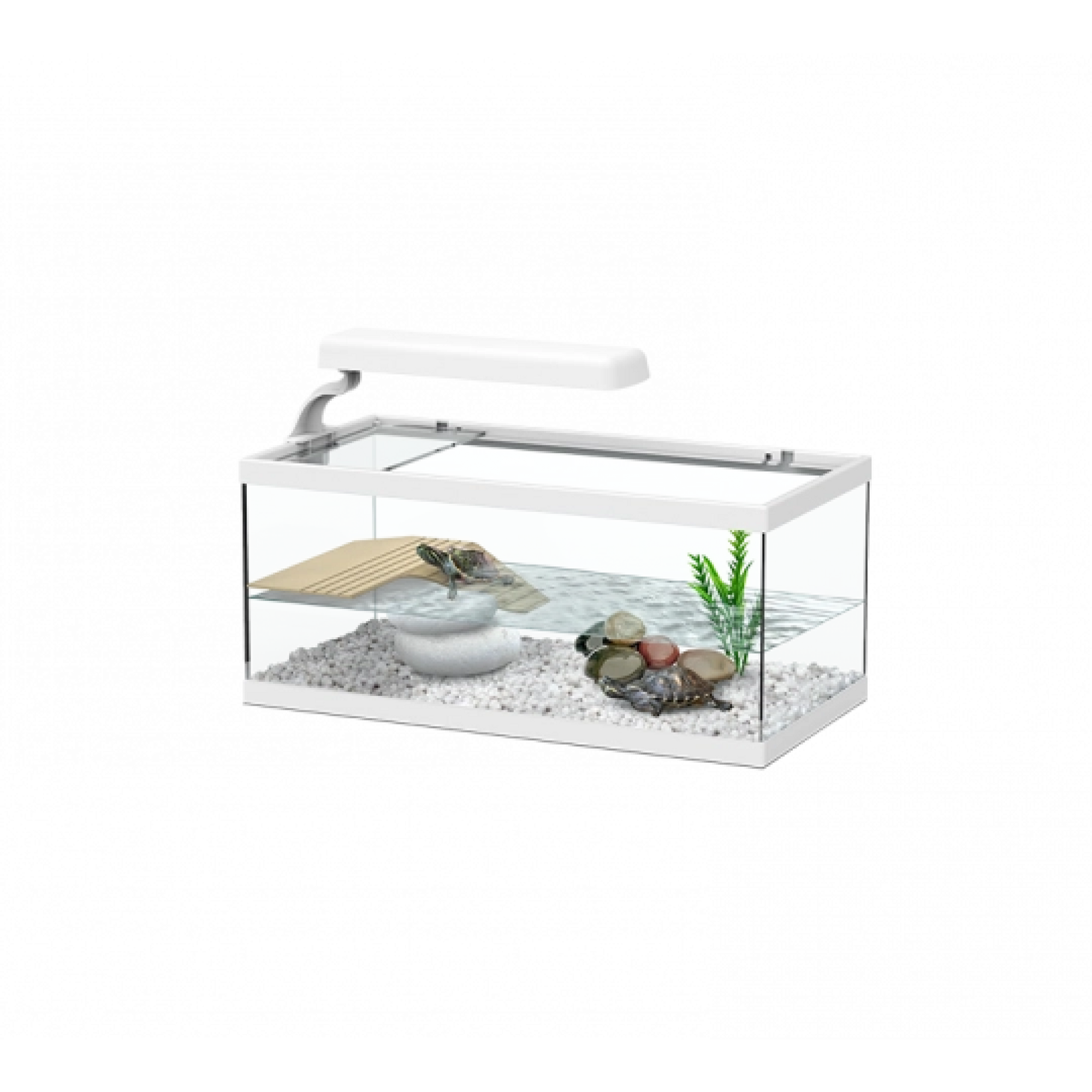 Tortum Turtle Tank