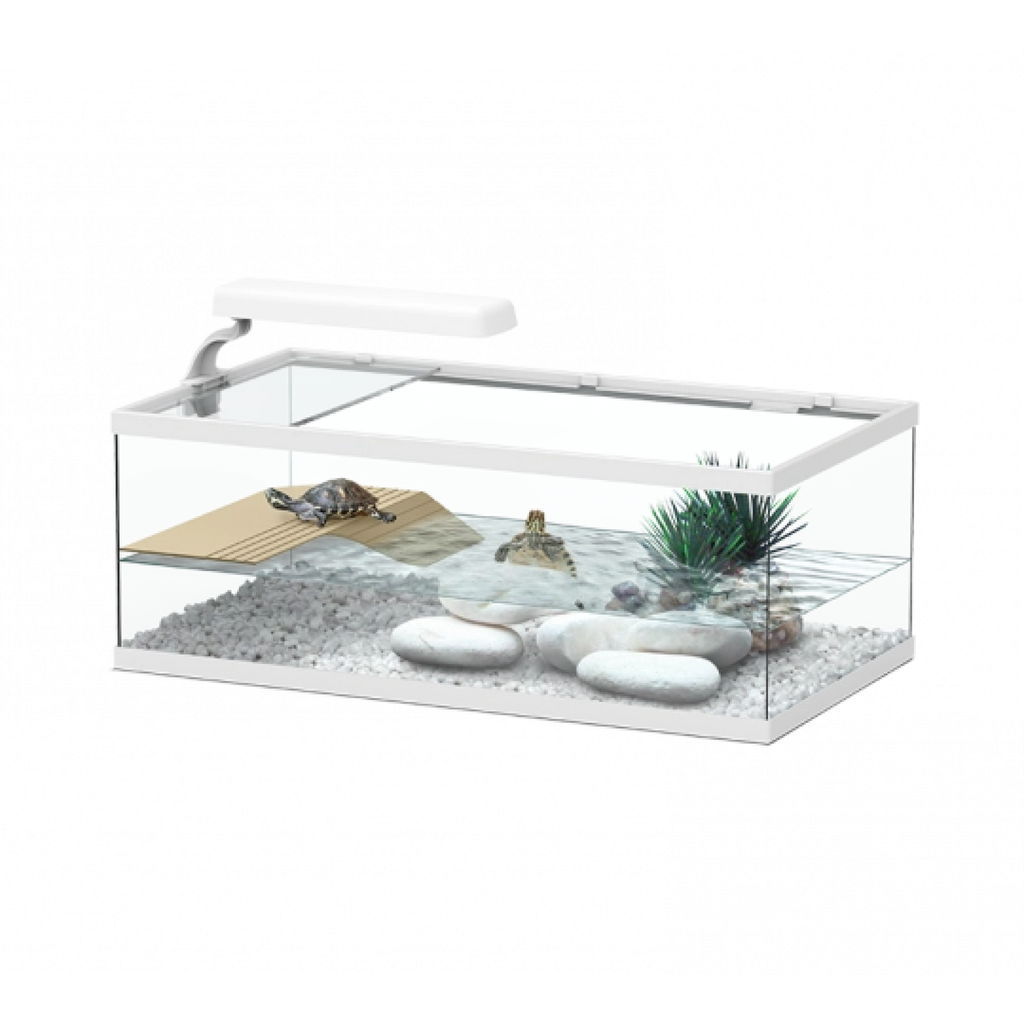 Tortum Turtle Tank