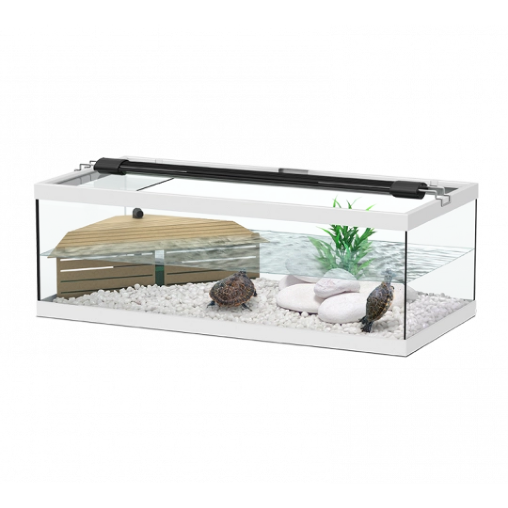 Tortum Turtle Tank