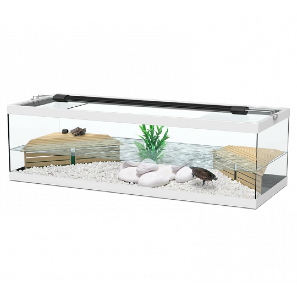 Tortum Turtle Tank