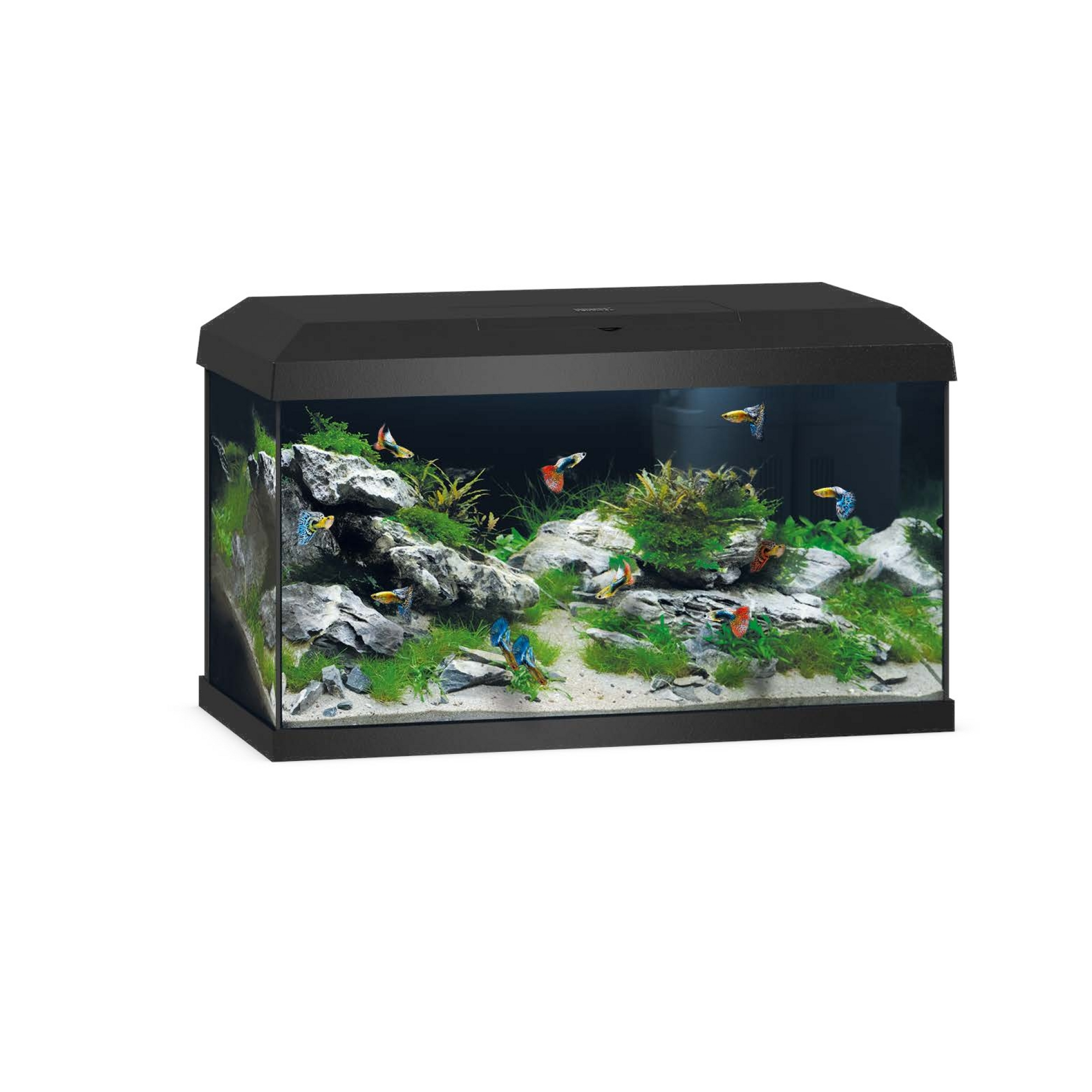 Primo 60 LED 2.0 Black