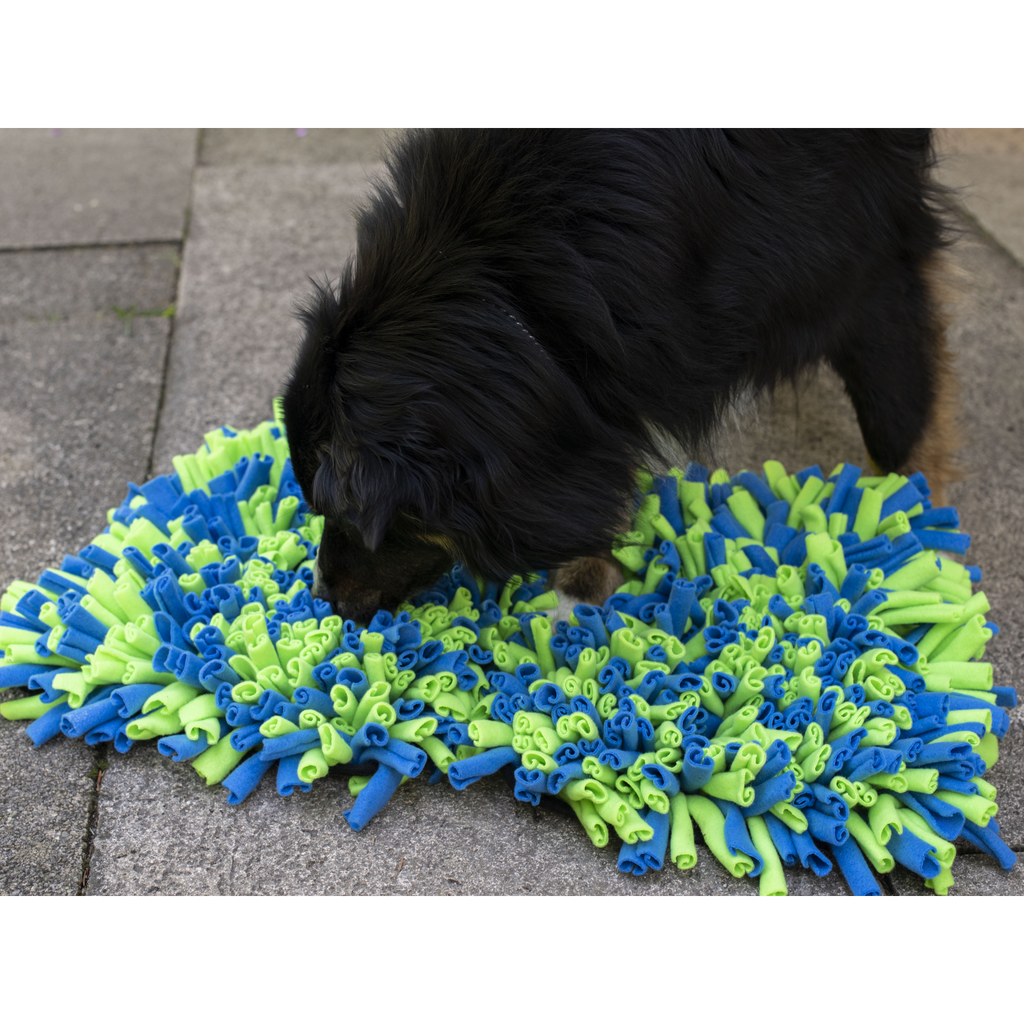 Interactive Sniffing Mat - Connect