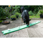 Sniffing Trainer Green