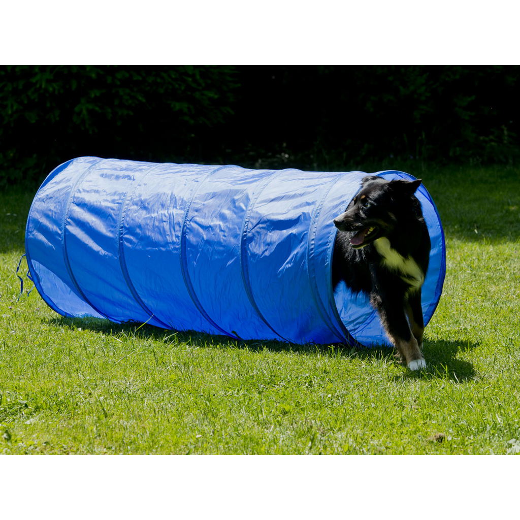 Agility Tunnel 35 cm dia x 100 cm
