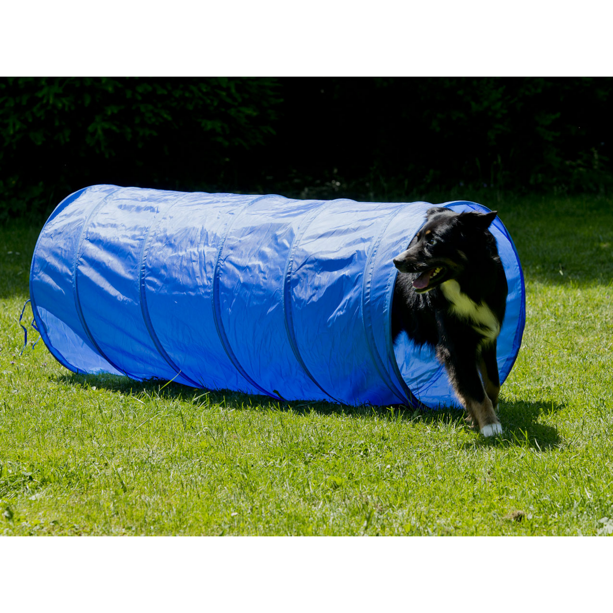 Agility Tunnel 35 cm dia x 100 cm