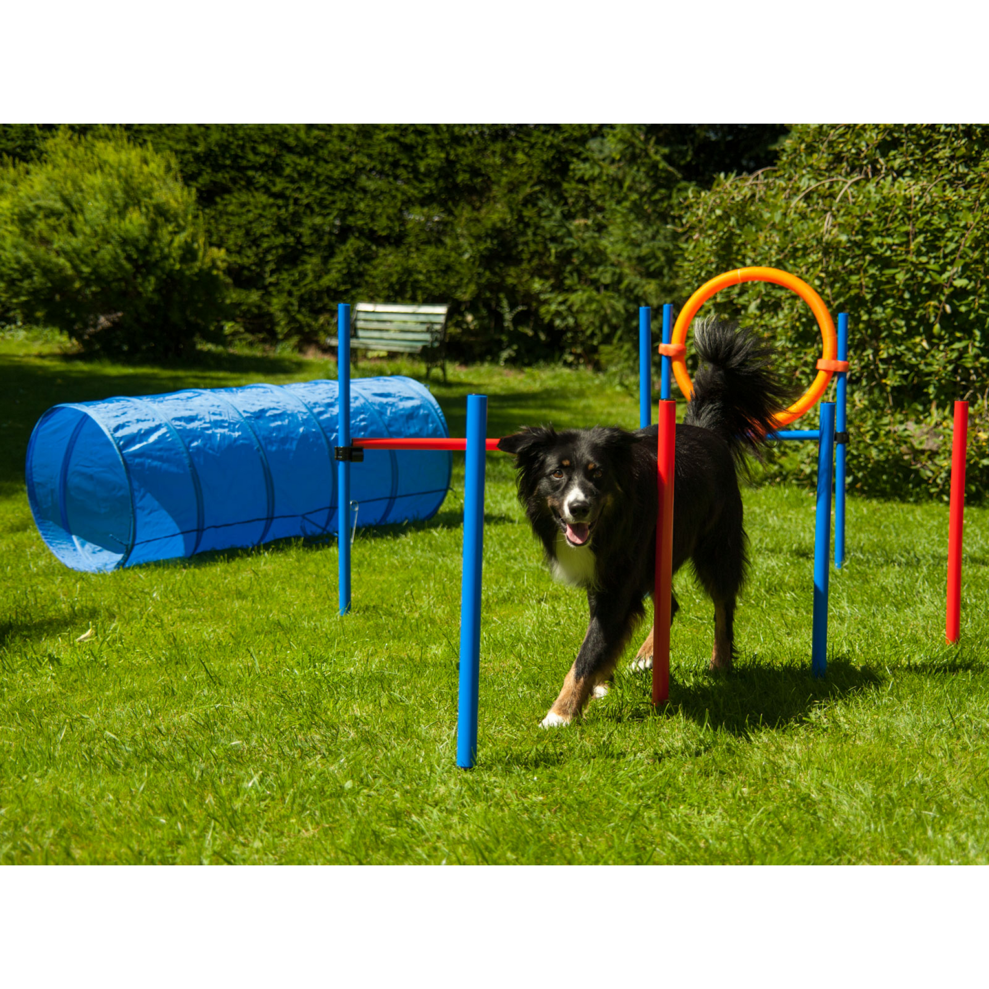 Agility Set K2