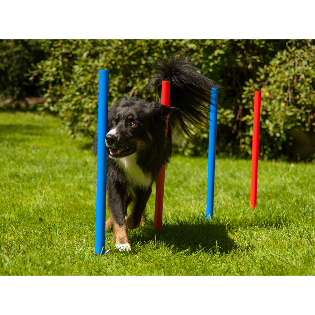 Agility Set K2
