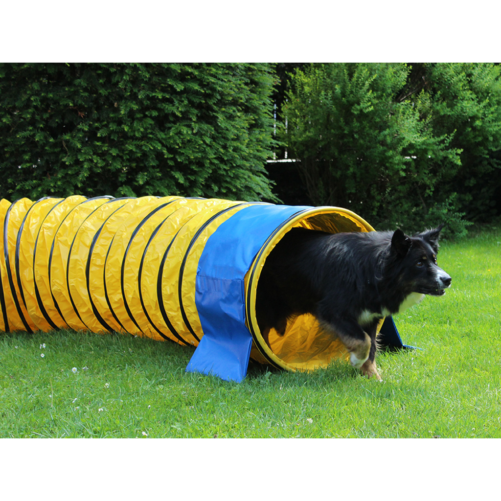 Professional Agility Tunnel, Yellow