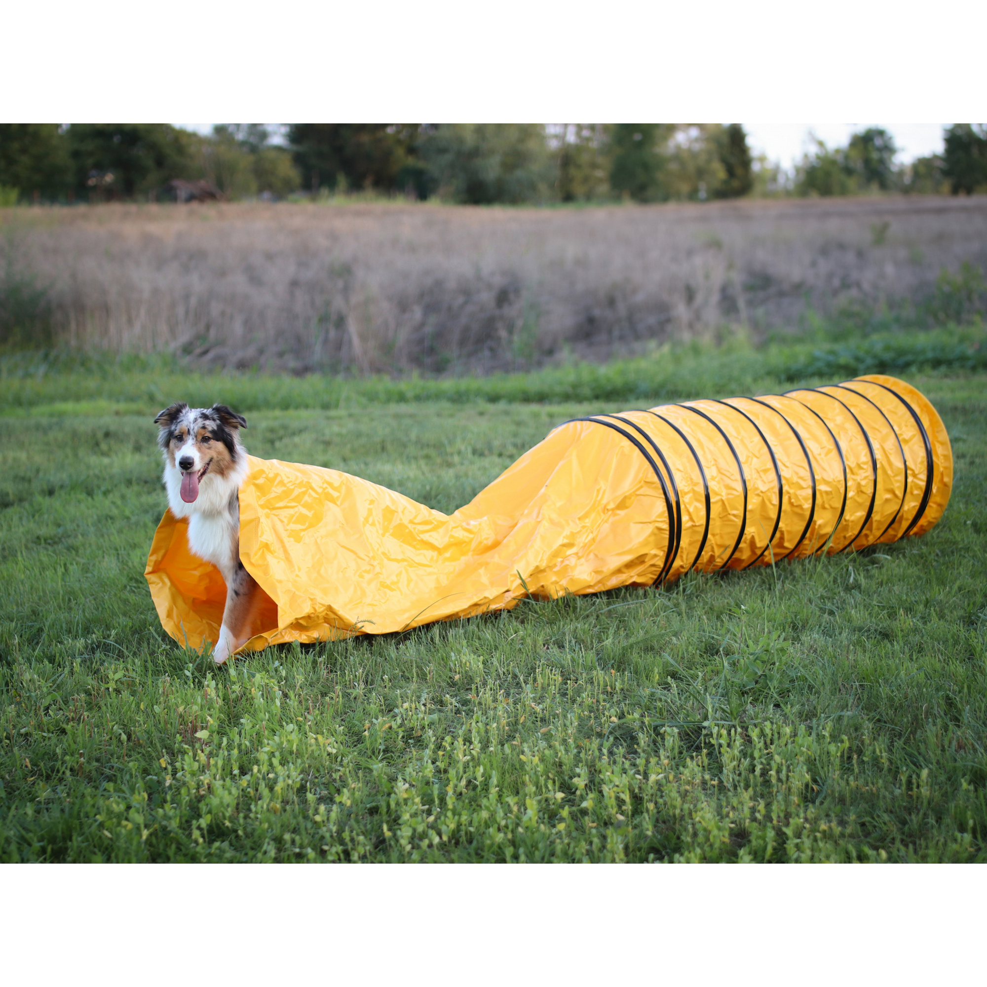 Professional Sack Tunnel