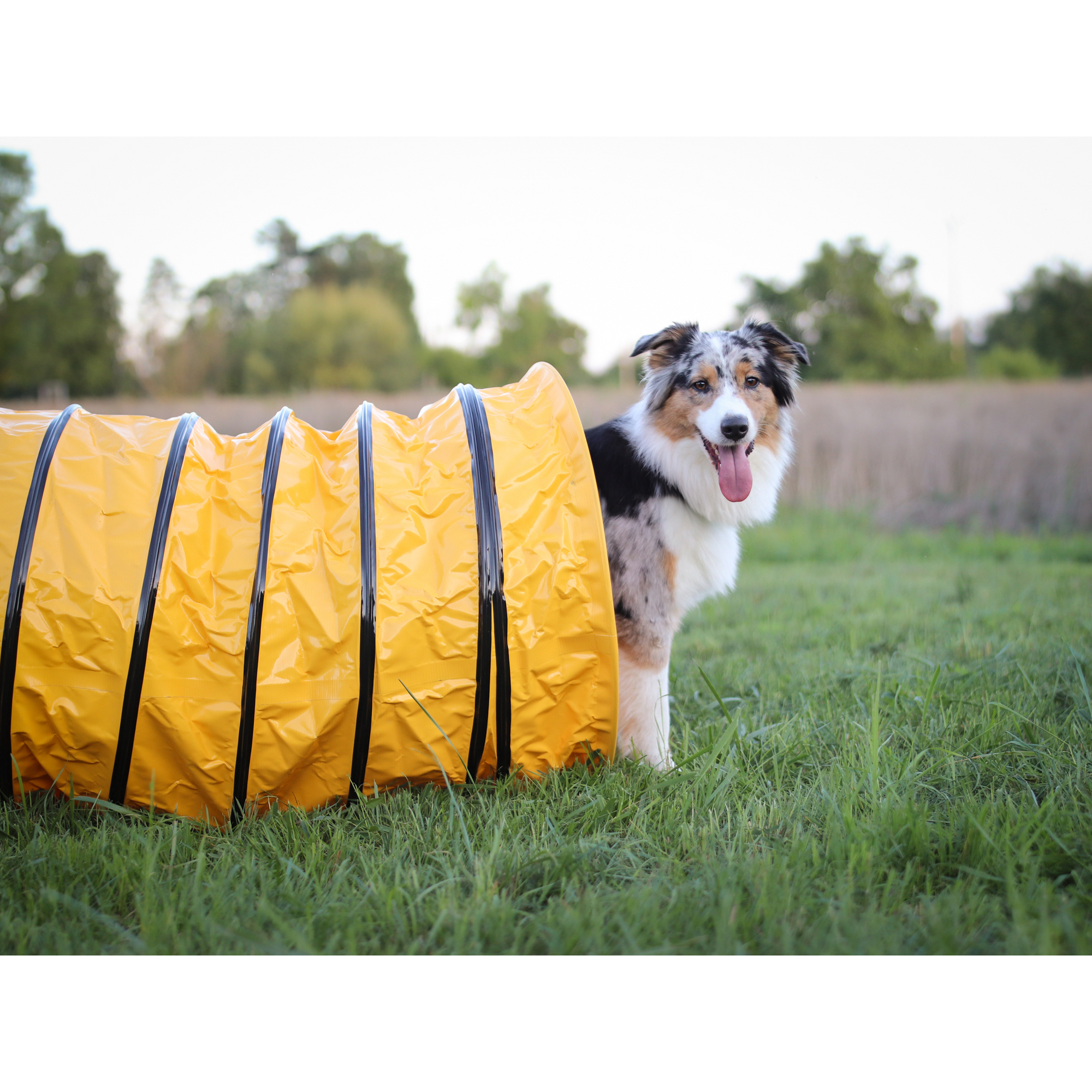 Professional Sack Tunnel