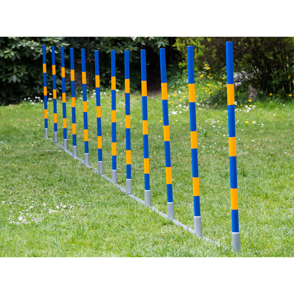 FCI Professional Agility Slalom