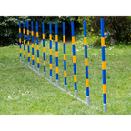 FCI Professional Agility Slalom