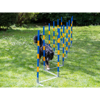 FCI Professional Agility Slalom