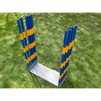 FCI Professional Agility Slalom