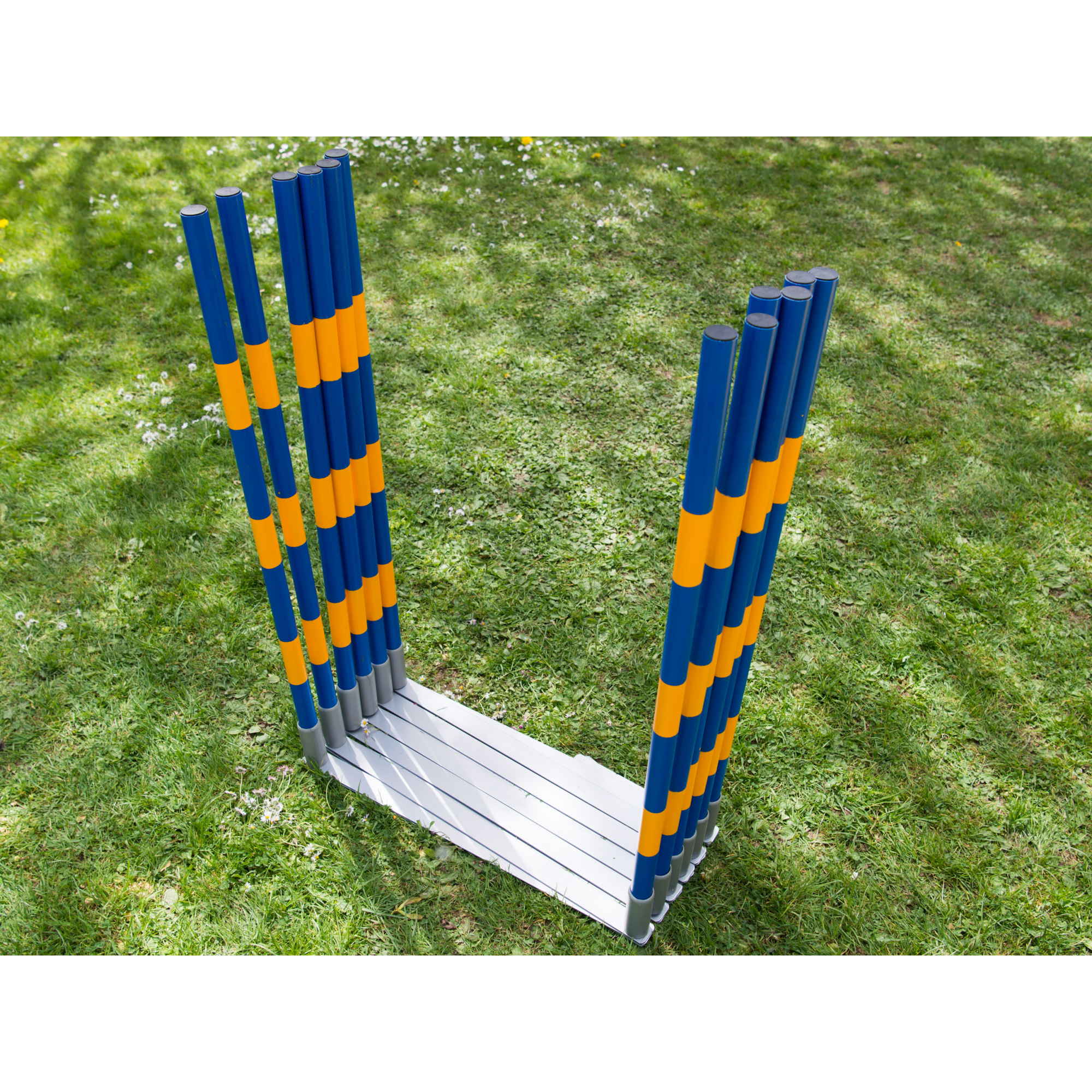 FCI Professional Agility Slalom