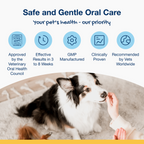 ProDen PlaqueOff Dental Bites for Medium and Large Dogs, Veggie Flavour 150 g