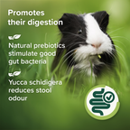 Care+ Nature Premium Food Guinea Pig 1.5 kg