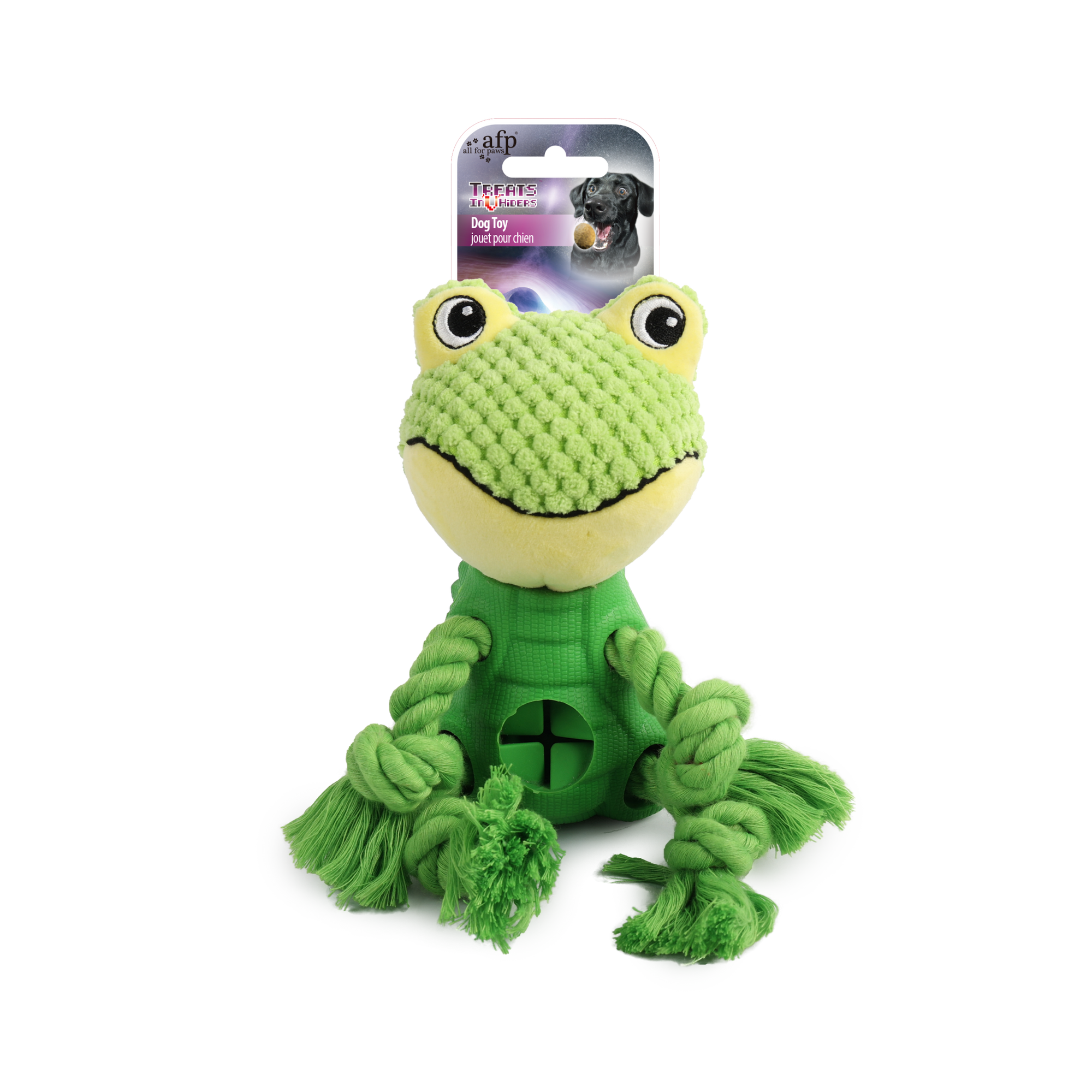Treat Hider Frog