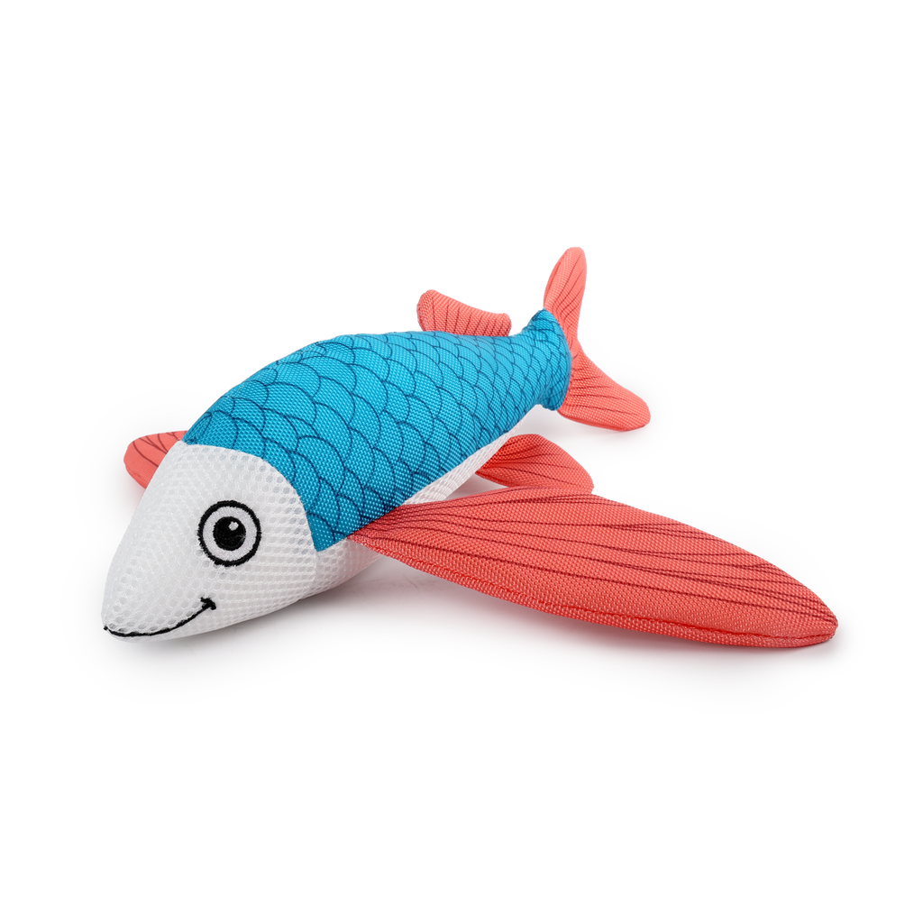 Chill Out Flying Fish