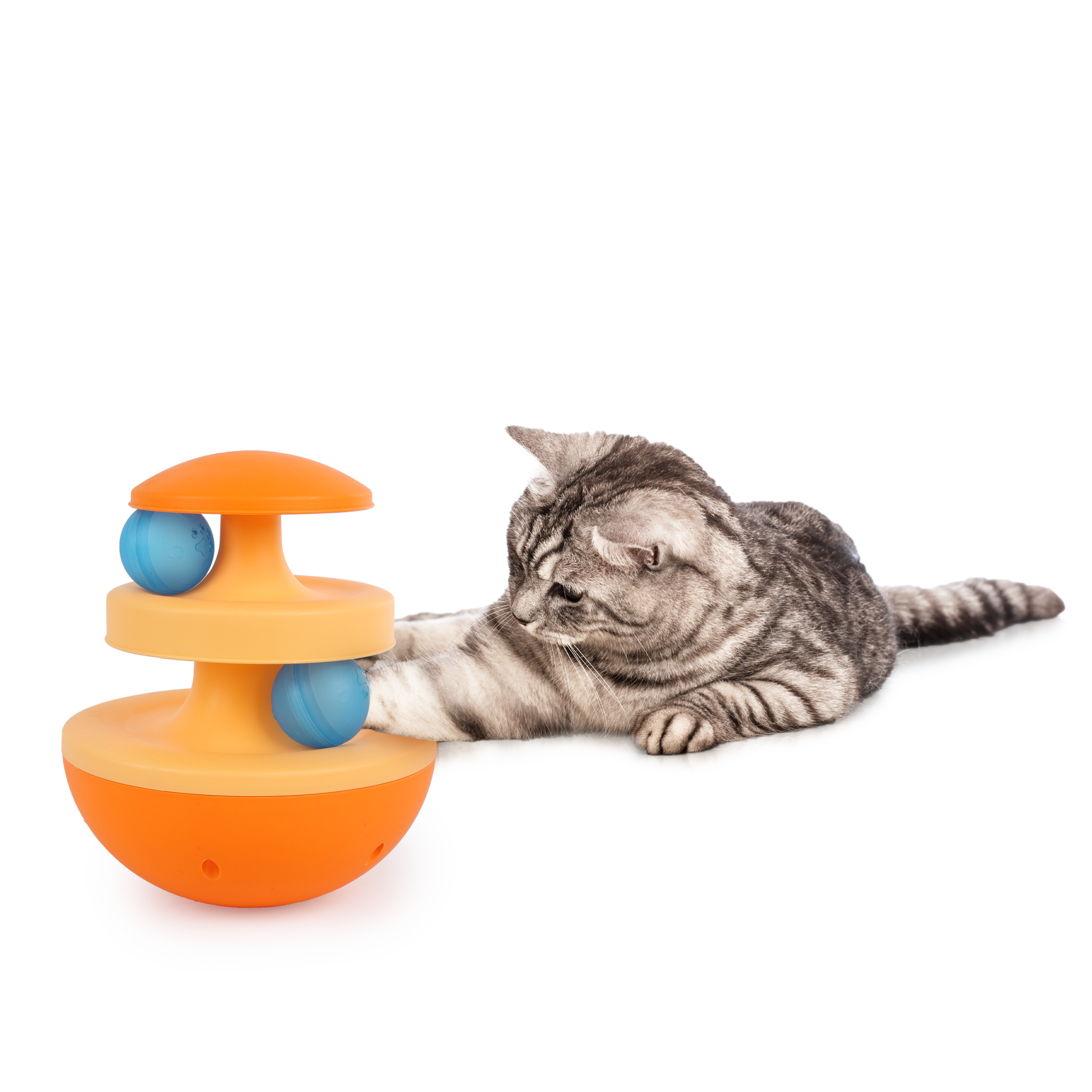 Modern Cat Wobble Track'ball