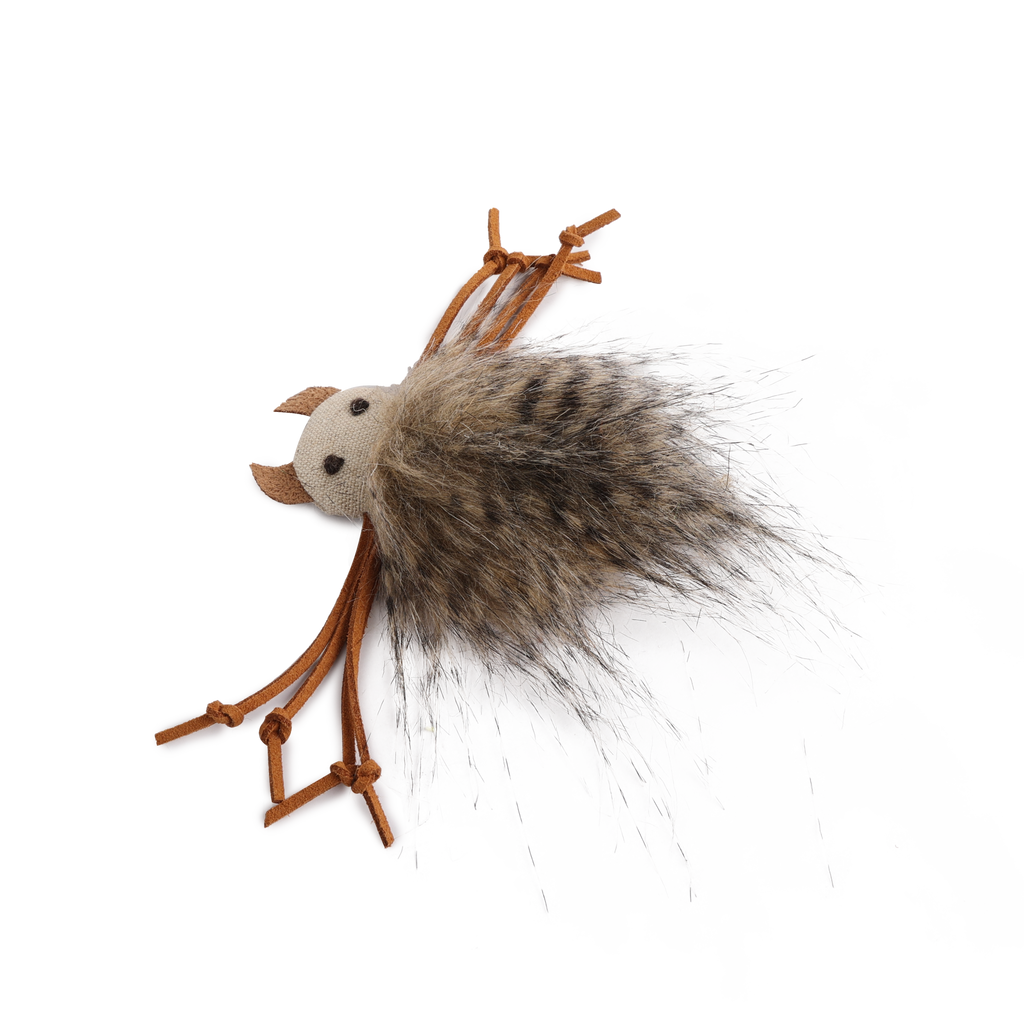 Classic Comfort Silly Spider