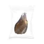 Catappa Leaves 15-25 cm, 10 pcs/pk