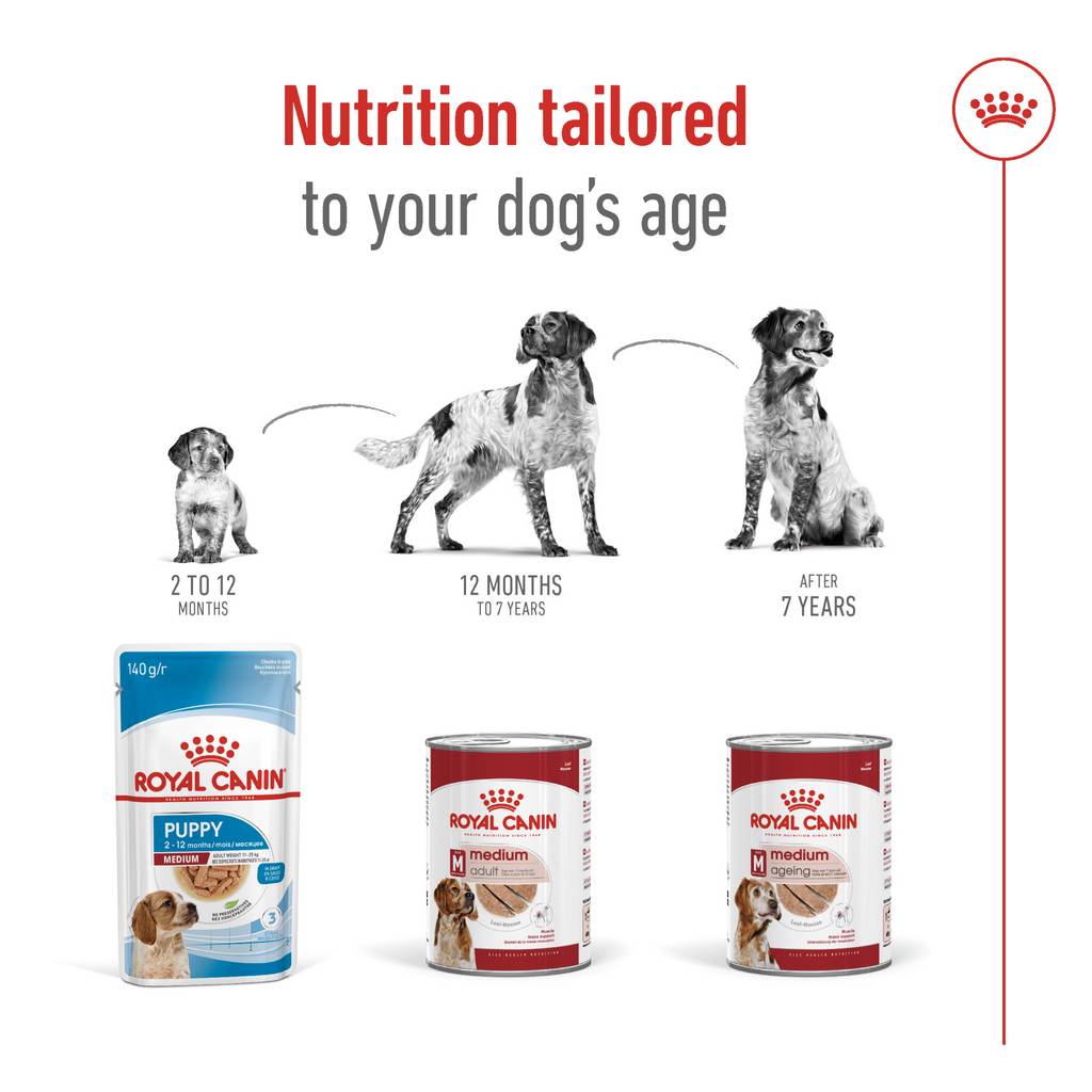 Size Health Nutrition Medium Adult (Wet Food - Can) 12 x 410 g
