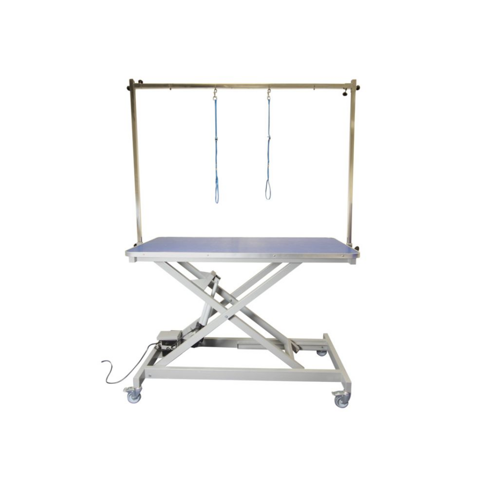 Burtons Electric Inclined-strut Grooming Table