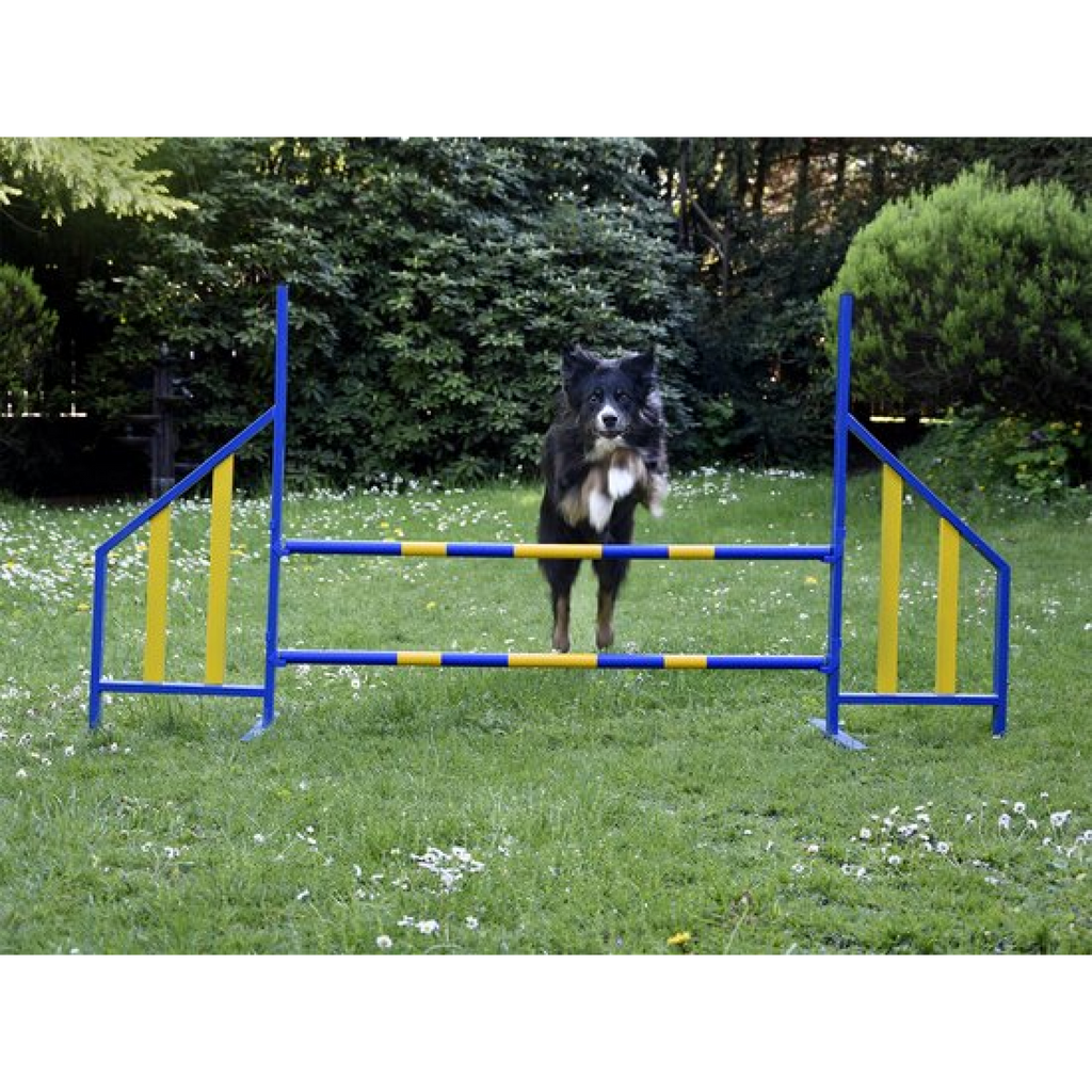 FCI Professional Metal Hurdle