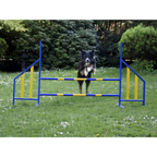 FCI Professional Metal Hurdle