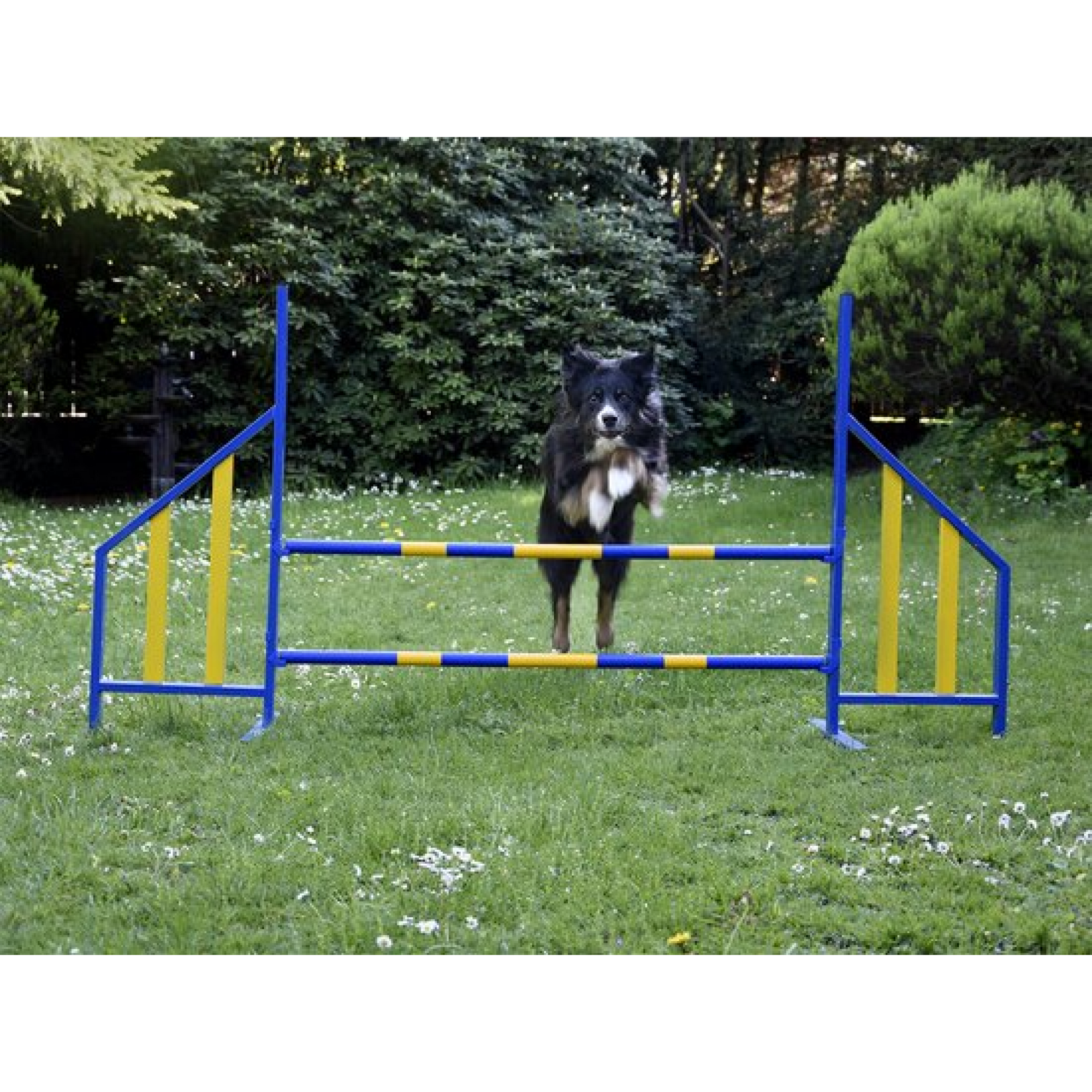 FCI Professional Metal Hurdle
