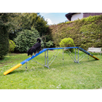 Agility Professional Bridge (4 parts)