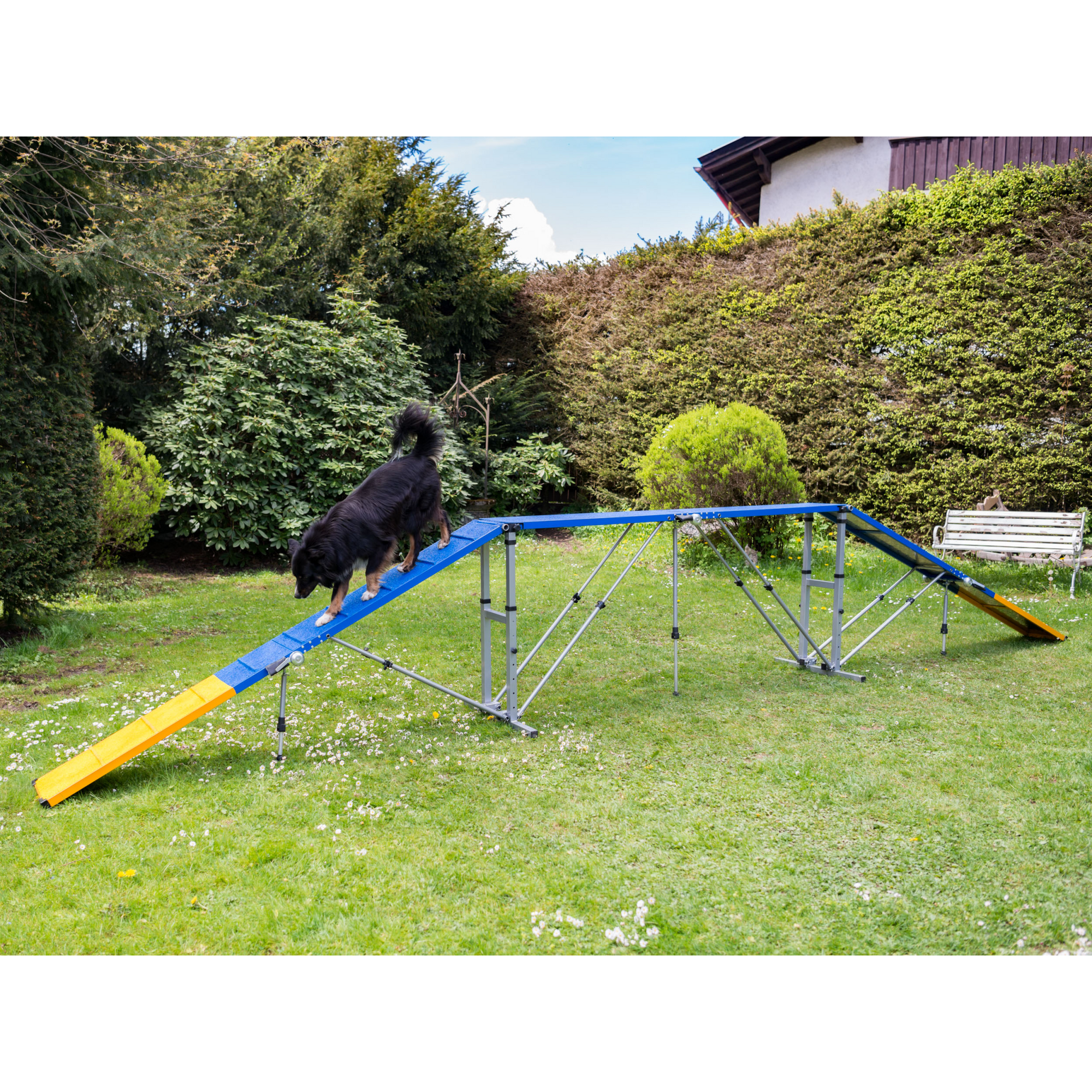 Agility Professional Bridge (4 parts)
