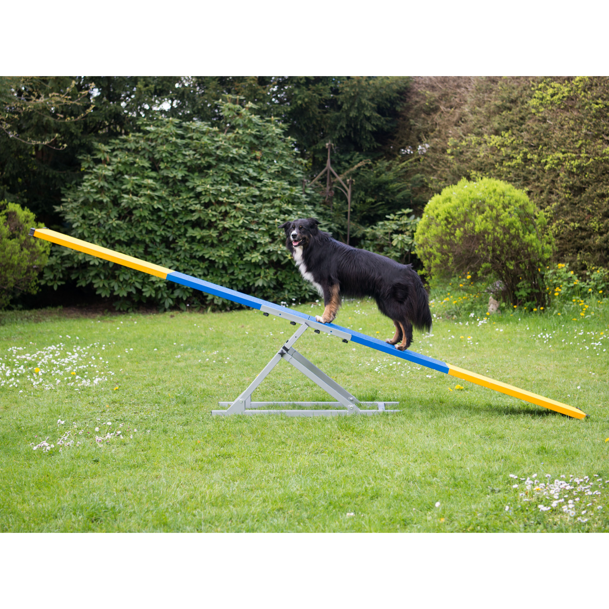 FCI Agility Professional Teeter (2 parts)