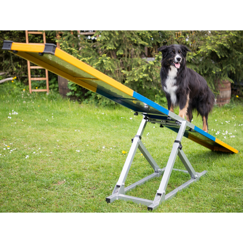 Professional Dog Rocker