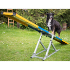 Professional Dog Rocker