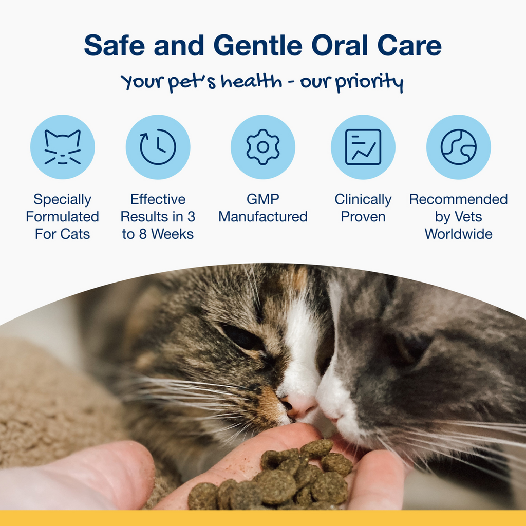 ProDen PlaqueOff Dental Bites for Cats, Salmon Flavour 60 g - Zero Waste