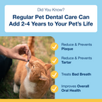 ProDen PlaqueOff Dental Bites for Cats, Salmon Flavour 60 g