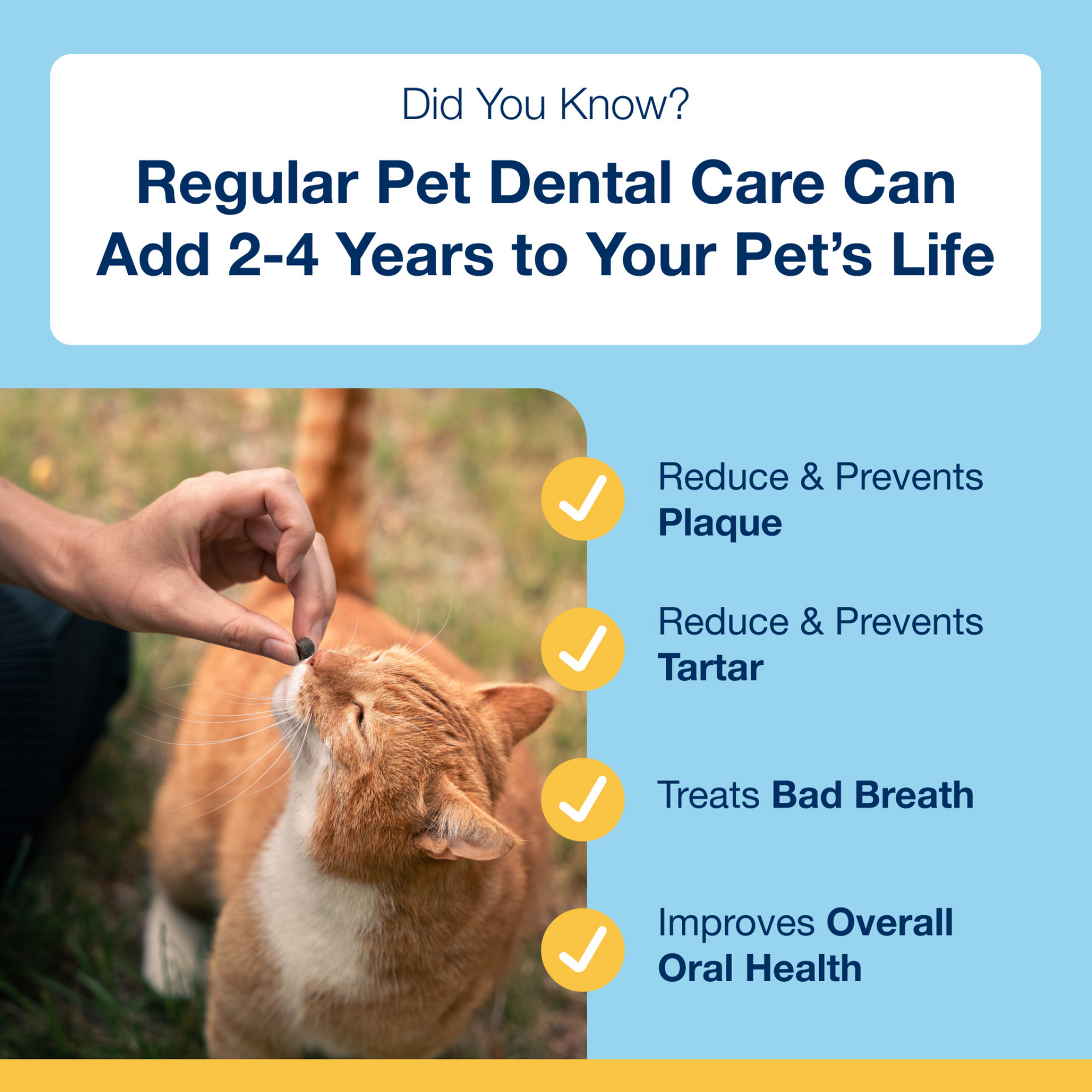 ProDen PlaqueOff Dental Bites for Cats, Salmon Flavour 60 g
