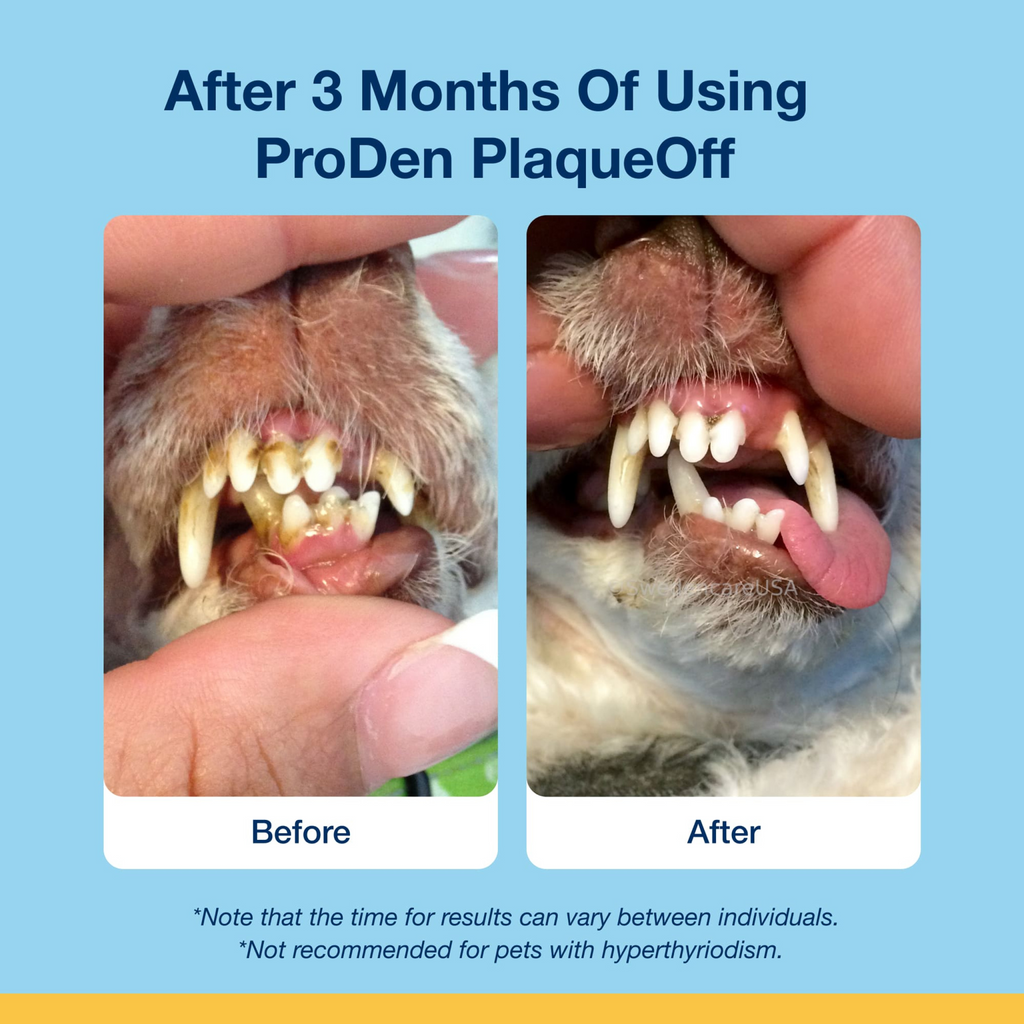 ProDen PlaqueOff Soft Chews for Small and Medium Dogs, 120 chews, 90 g