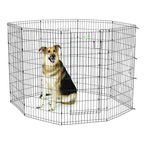 MidWest 48 inch black exercise pen with full MAX Lock door